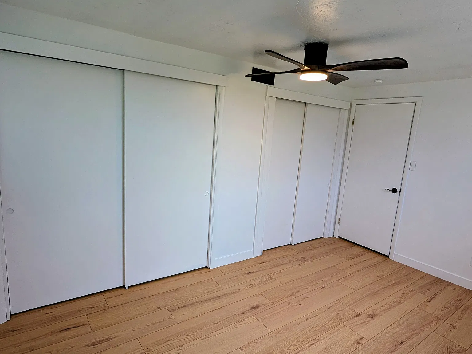 1 bed, 700 sqft, $1,450 — Photo 4
