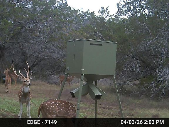 2nd image of TRACT 2 Elm Pass