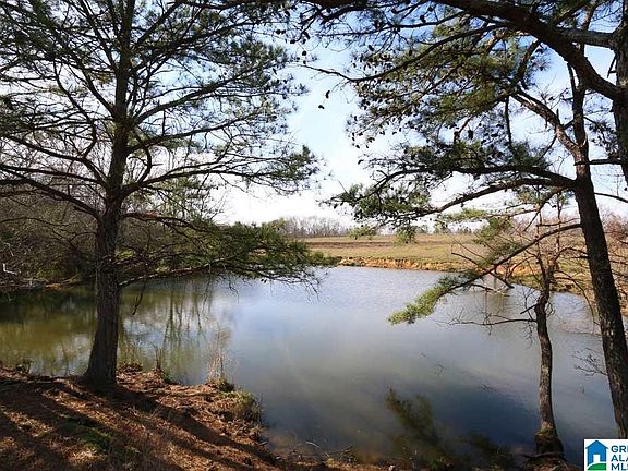 3rd image of Highway 47 Acres #53