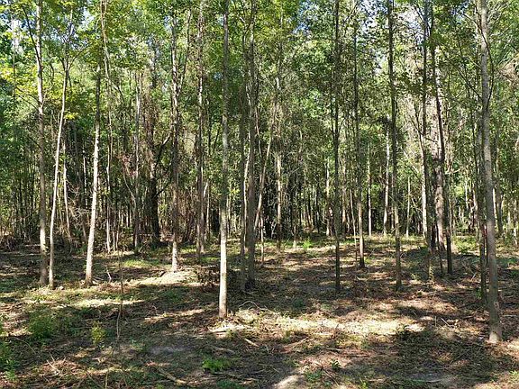 3rd image of LOT 4A Johnson Rd