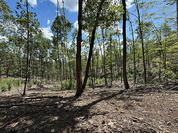 5th image of Honey Hollow Rd