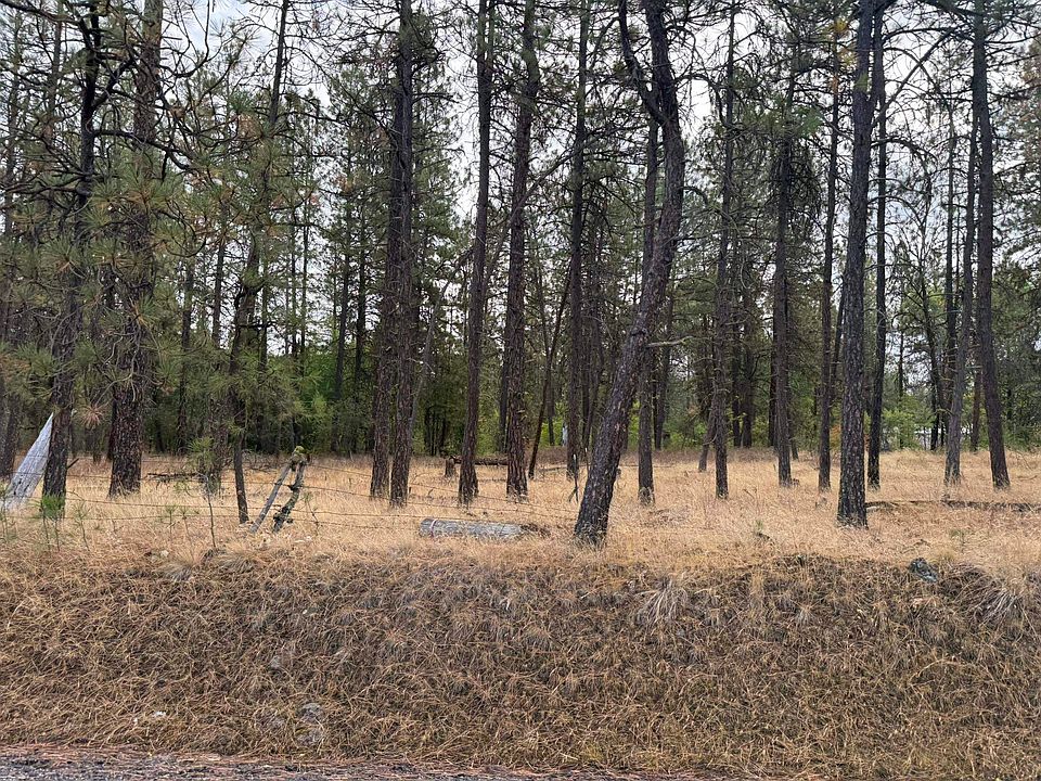 2nd image of 17 S Malloy Prairie Rd