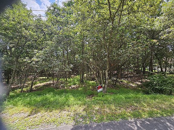 2nd image of 607A Blairwood Ln