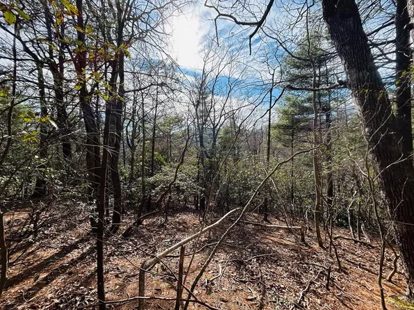 Tbd Chalet Dr, Fancy Gap, VA 24328