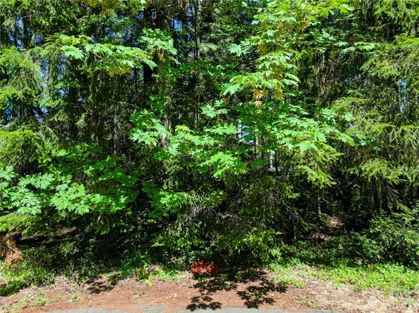 8809 Johnson Road, Anderson Island, WA 98303