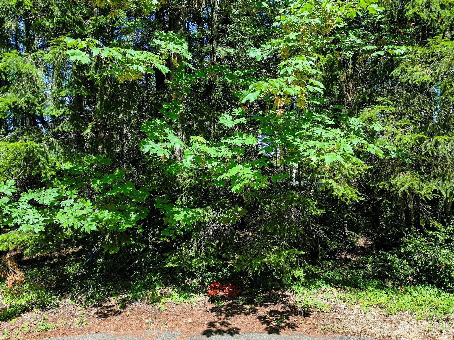 8809 Johnson Road photo 1