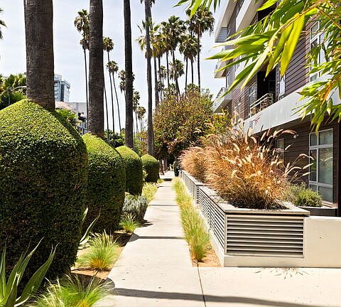 4th image of 6001 Carlton Way APT 209