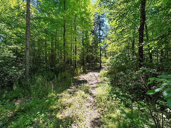5th image of Leskovec Ln
