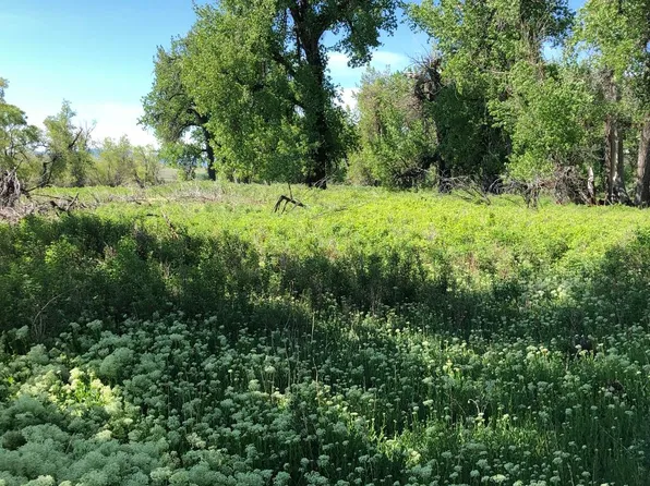 Nelson Island Ln, Cascade, MT 59421