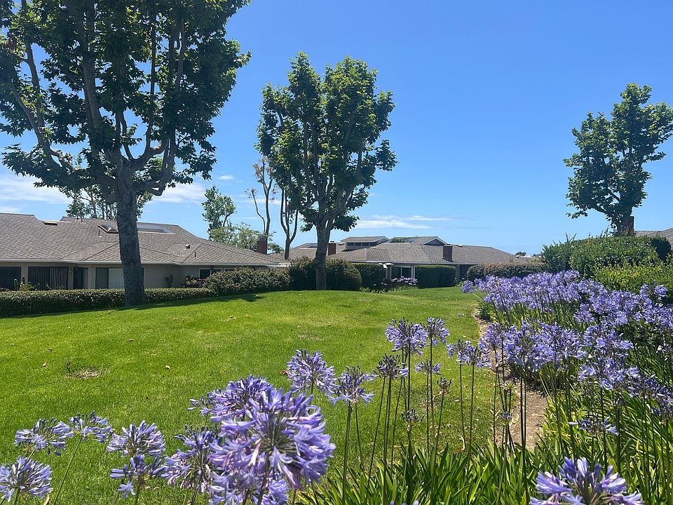 Front lawn from patio