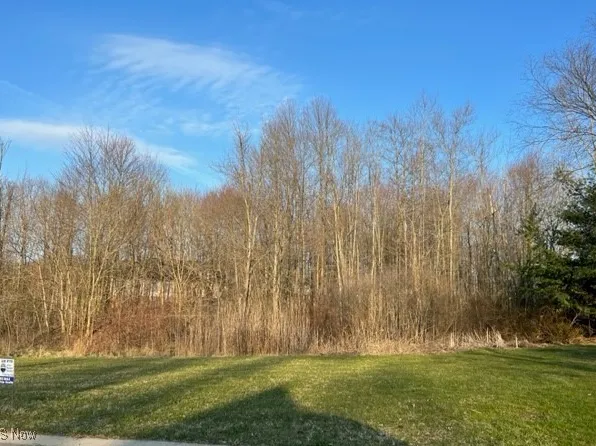 Birchmont Ave SW, Canton, OH 44706