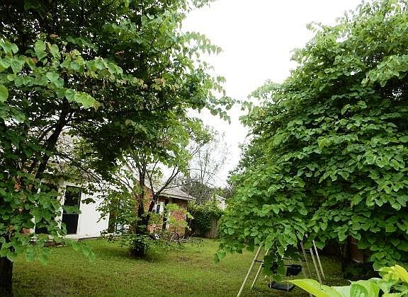 2nd image of 1509 Windsor Dr