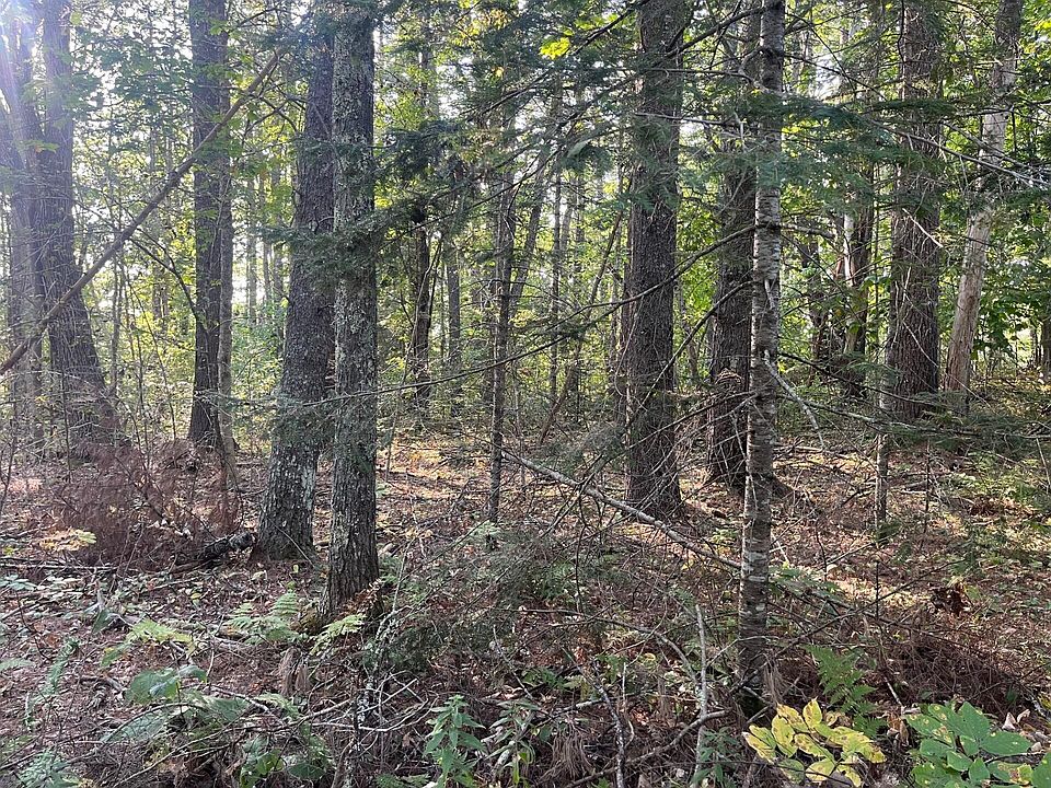2nd image of Lot 2 Hazel Nut Trail