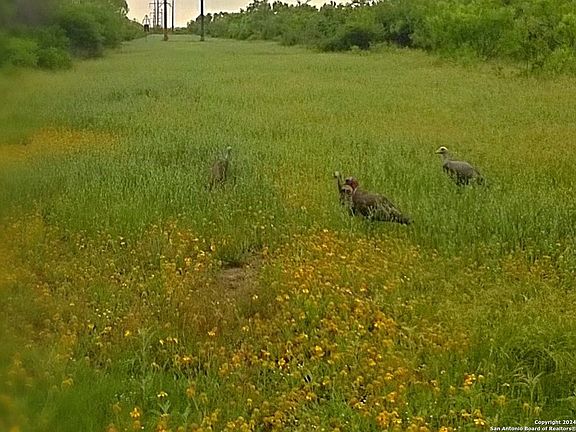 4th image of 593 FM 481