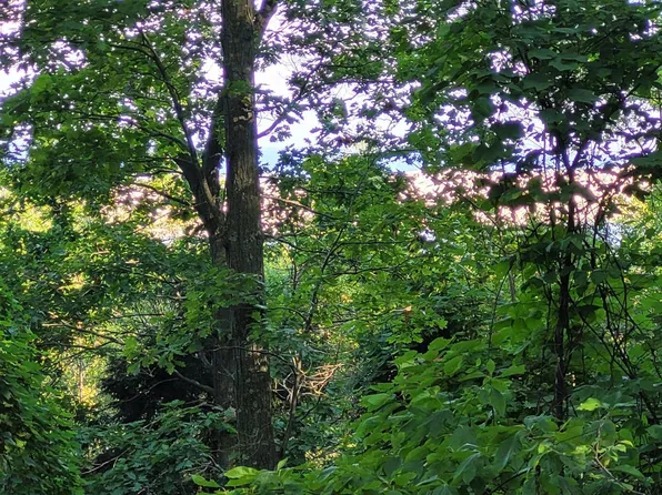 LOT D Silver Vista Ln Lot D, Mears, MI 49436