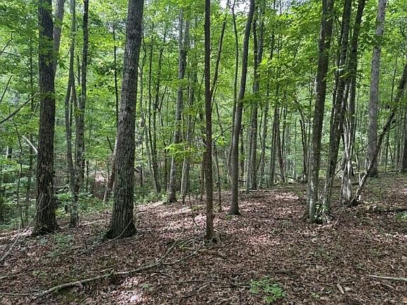 5th image of 3B S Pittsburg Mountain Rd
