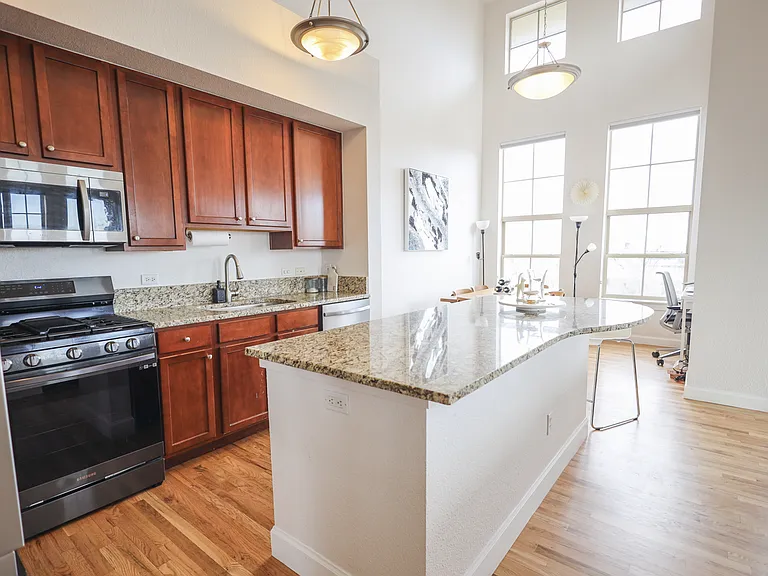 1699 N Downing St #401 — Photo 10