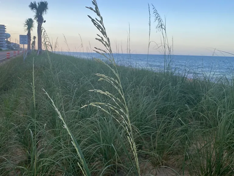 3600 S Ocean Shore Blvd #317 — Photo 9