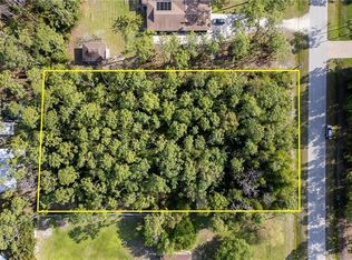 25421 Luci Dr, Bonita Springs, FL 34135