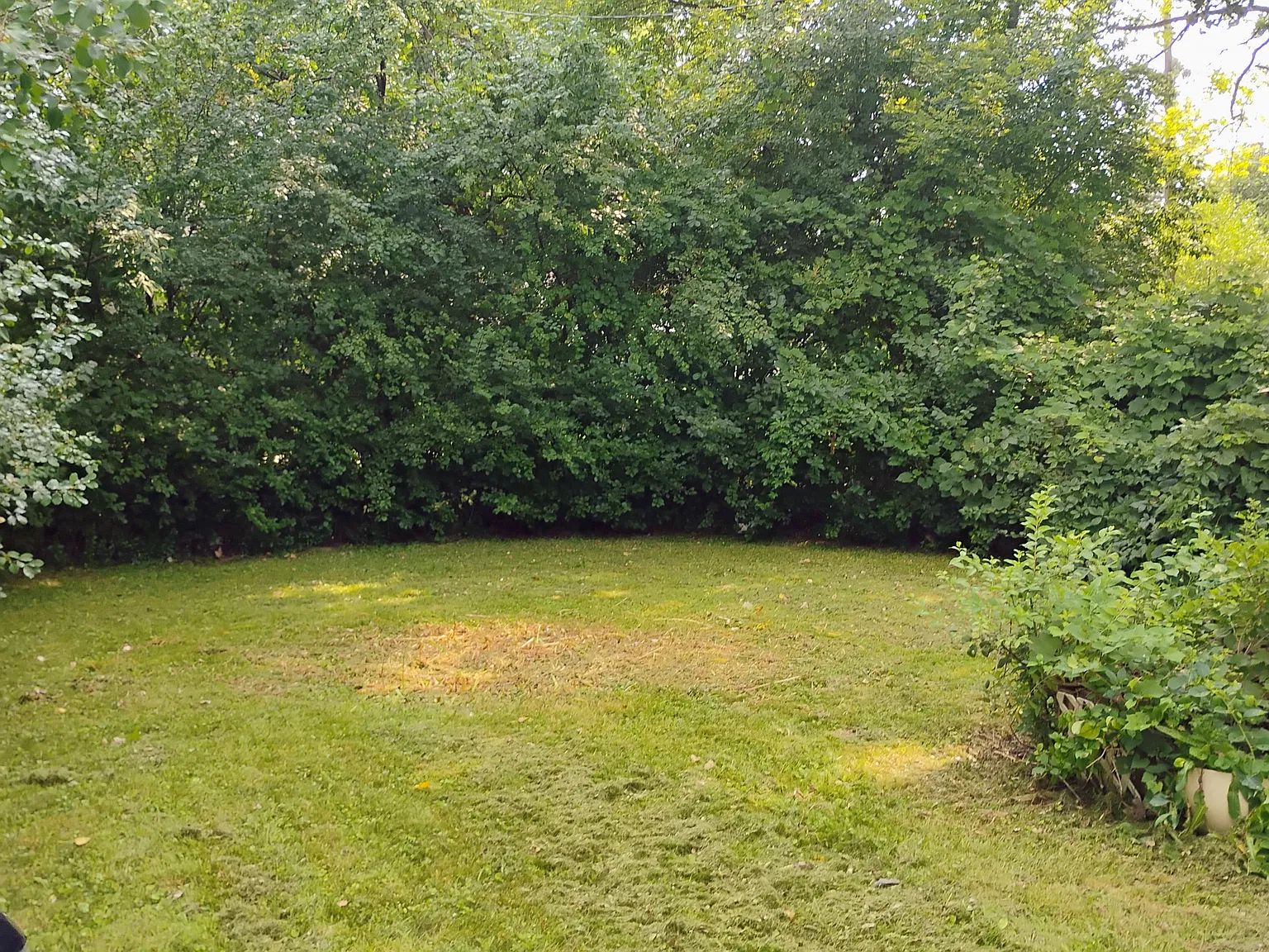 2 bed, 1344 sqft, $1,400 — Photo 2
