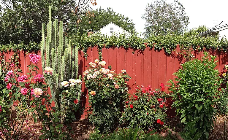 6212 Zelzah Ave — Photo 13