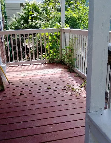 151 Forest Hills St #1R — Photo 10