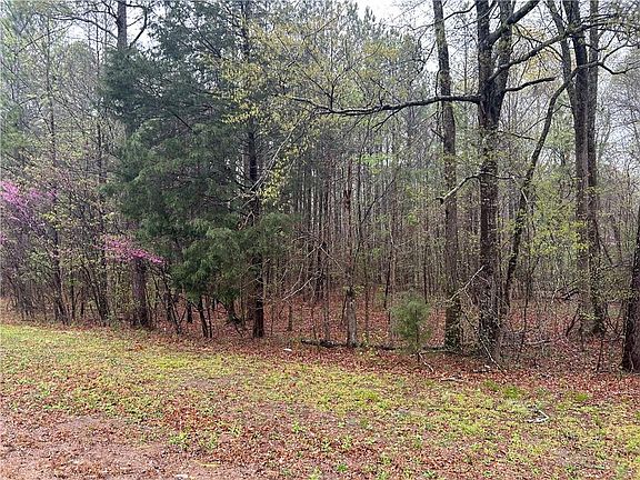 2nd image of 0 Walker Mountain Rd SW #308