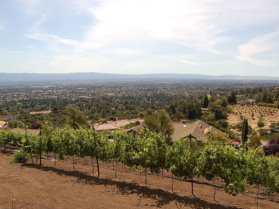 From the top of the property