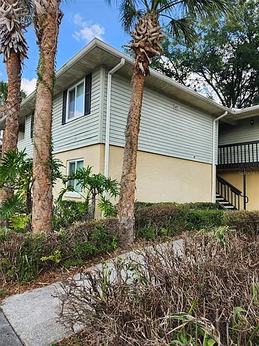 211 Thorn Tree Pl Photo 1