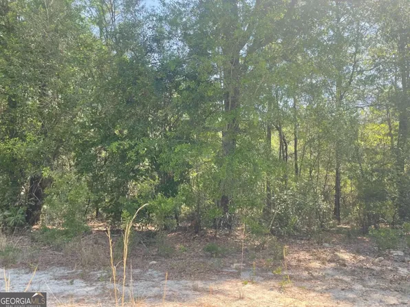 7 Riverbank Rd, Reidsville, GA 30453