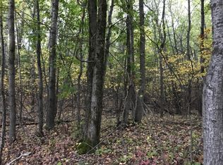 0 N State Rd, Luther, MI 49656