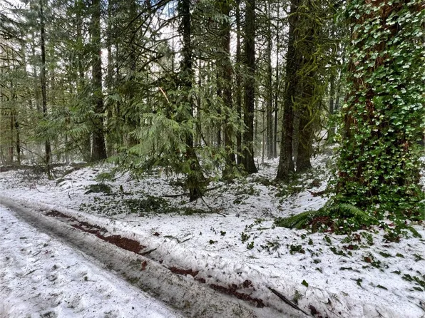 23725 E Sampson Ave, Welches, OR 97067