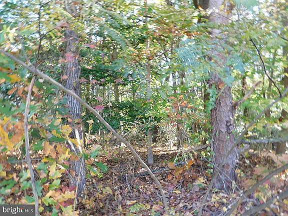 5th image of Tn 10c 8 1 23 Forest Grove Rd
