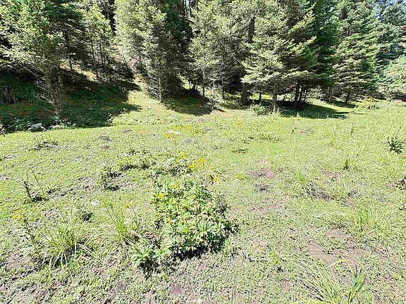 5th image of 235 Dark Canyon Rd