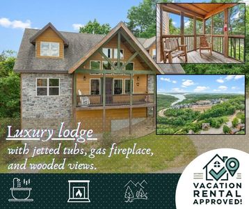 360 Willow Oak Lane, Branson, MO, 65616