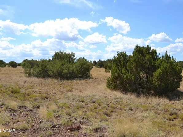 Supancheck Rd, Show Low, AZ 85901