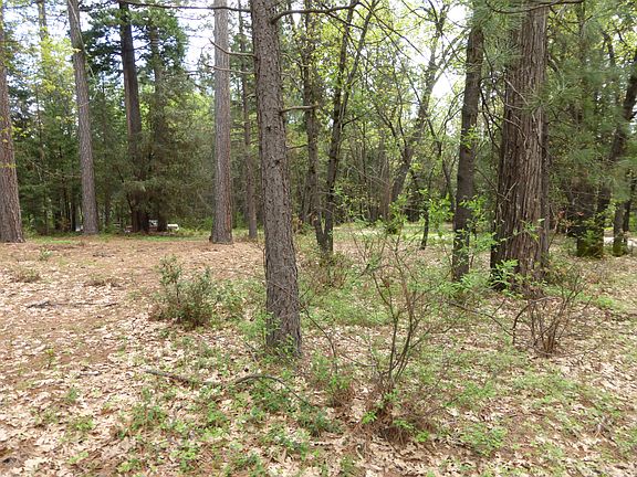 5th image of 0 Buena Vista Dr
