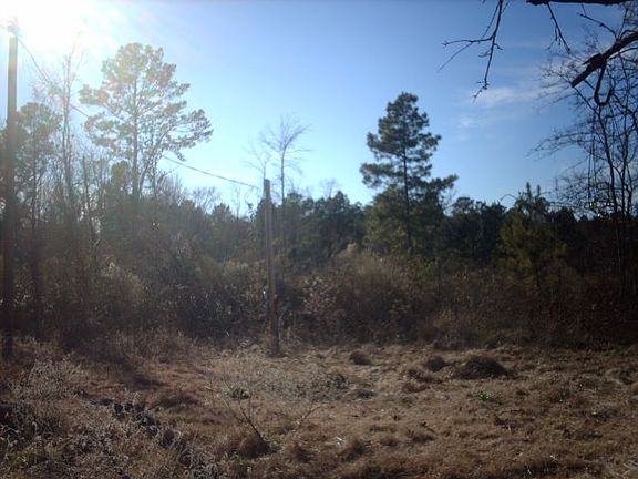 2nd image of 15667 State Highway 43 N
