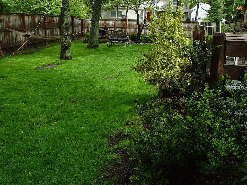 Backyard looking towards pond