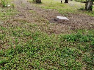 1204 Davies Ave, Brandon, FL 33511