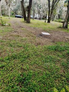 1204 Davies Ave, Brandon, FL, 33511