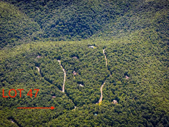 LOT 47 Fetterbush Ln, Hinton, VA 22831