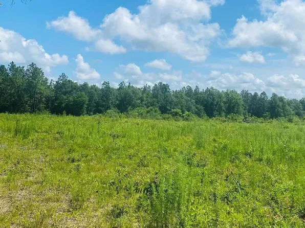 Beulah Church Rd, Lee, FL 32059