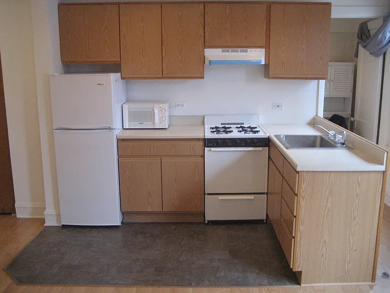 1649 N Wells St #3K1 — Photo 8