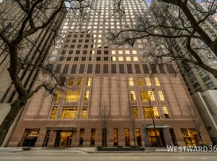 161 E Chicago Ave APT 49B, Chicago, IL 60611