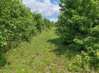 Jerusalem Rd, Daingerfield, TX 75638