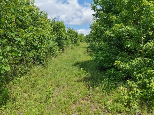 Jerusalem Rd, Daingerfield, TX 75638