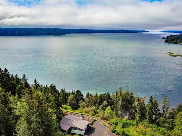 426 Cormorant View Drive, Brinnon, WA 98320