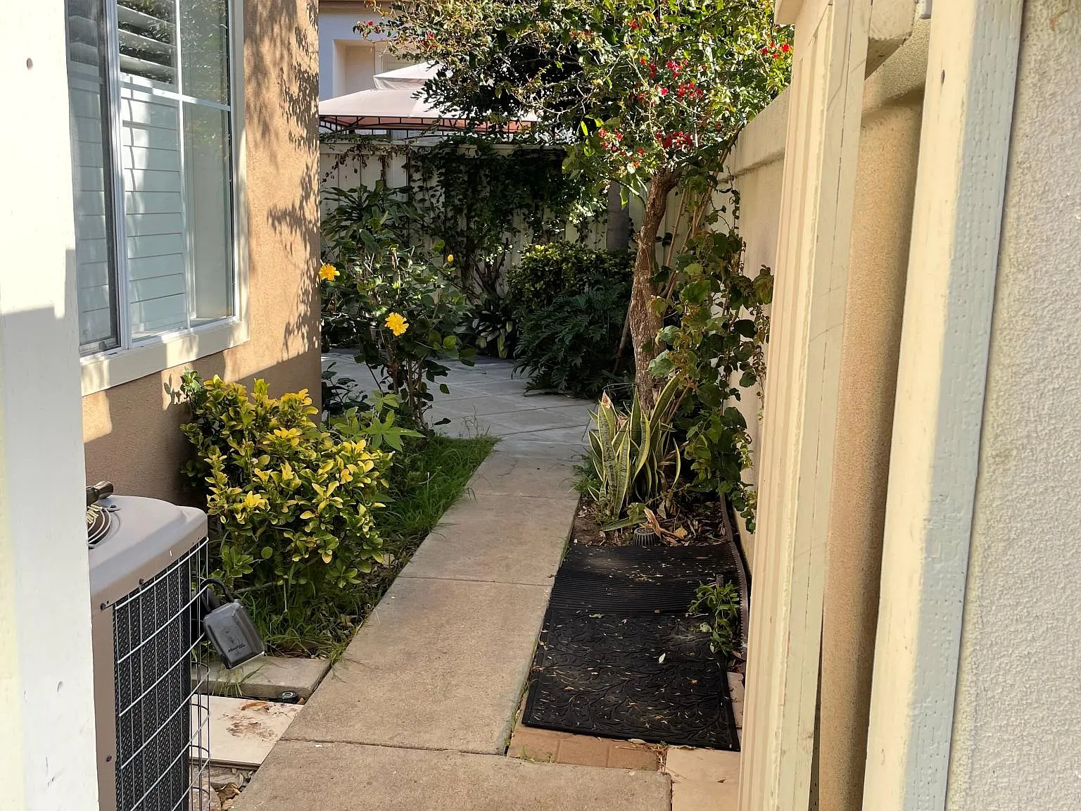 11 Del Sonterra — Photo 3
