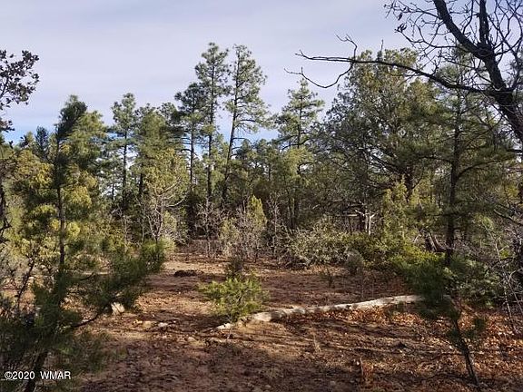3rd image of 4480 W Shaggy Bark Rd